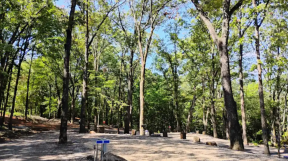 a picture of RV site #3 here at Barker Gap